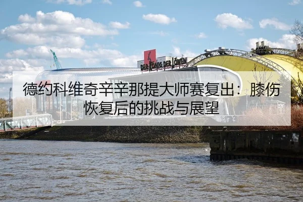 de-yue-ke-wei-qi-xin-xin-na-ti-da-shi-sai-fu-chu-xi-shang-hui-fu-hou-de-tiao-zhan-yu-zhan-wang-3-487.jpg