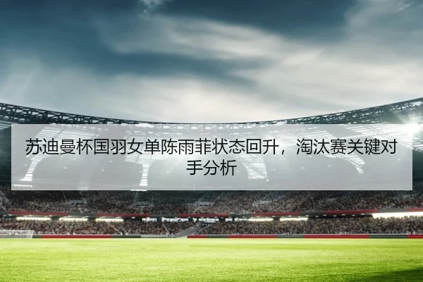 su-di-man-bei-guo-yu-nv-dan-chen-yu-fei-zhuang-tai-hui-sheng-tao-tai-sai-guan-jian-dui-shou-fen-xi-3-316.jpg