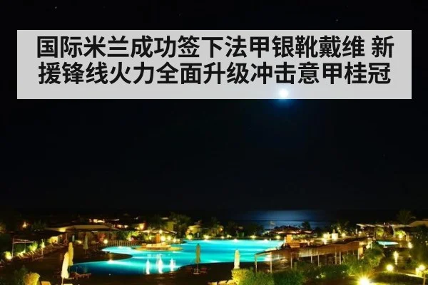 国际米兰成功签下法甲银靴戴维 新援锋线火力全面升级冲击意甲桂冠